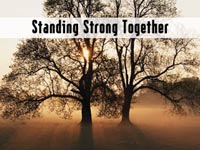 stand strong together